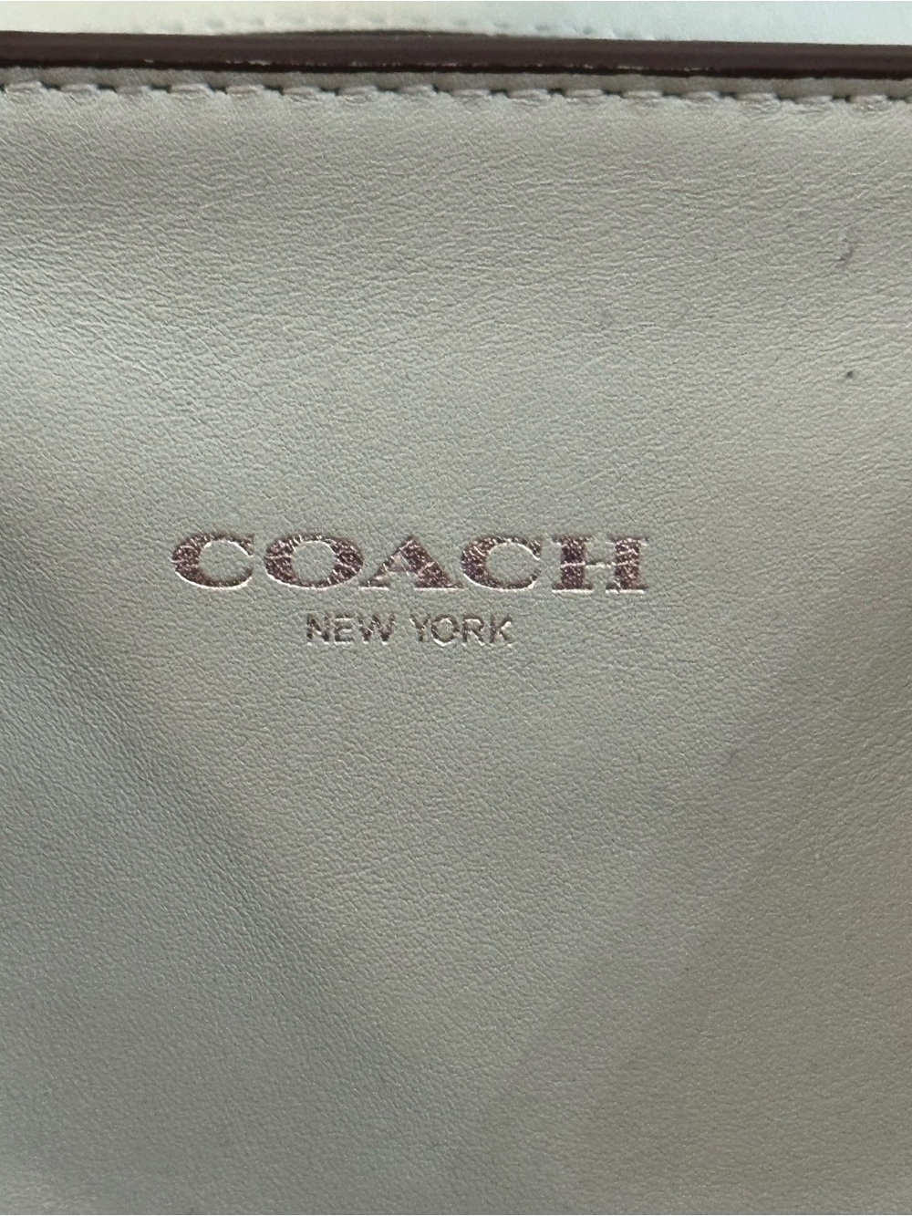 Coach Medium Candace Carryall Aqua Leather Satchel Tote 24201 - Picture 3 of 9